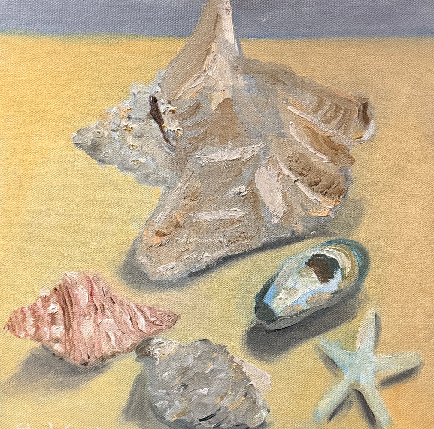Original - Seashell Still Life Oil Painting