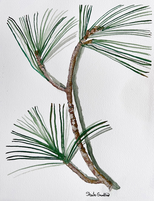 Artistic illustration of a pine branch with green needles on a white background